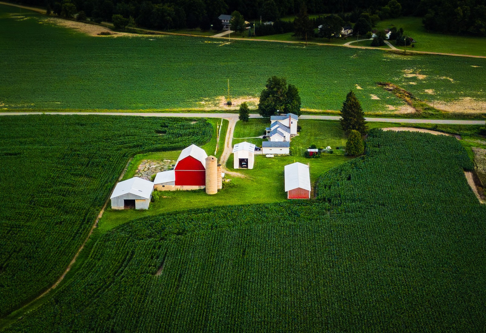 DJI_0183