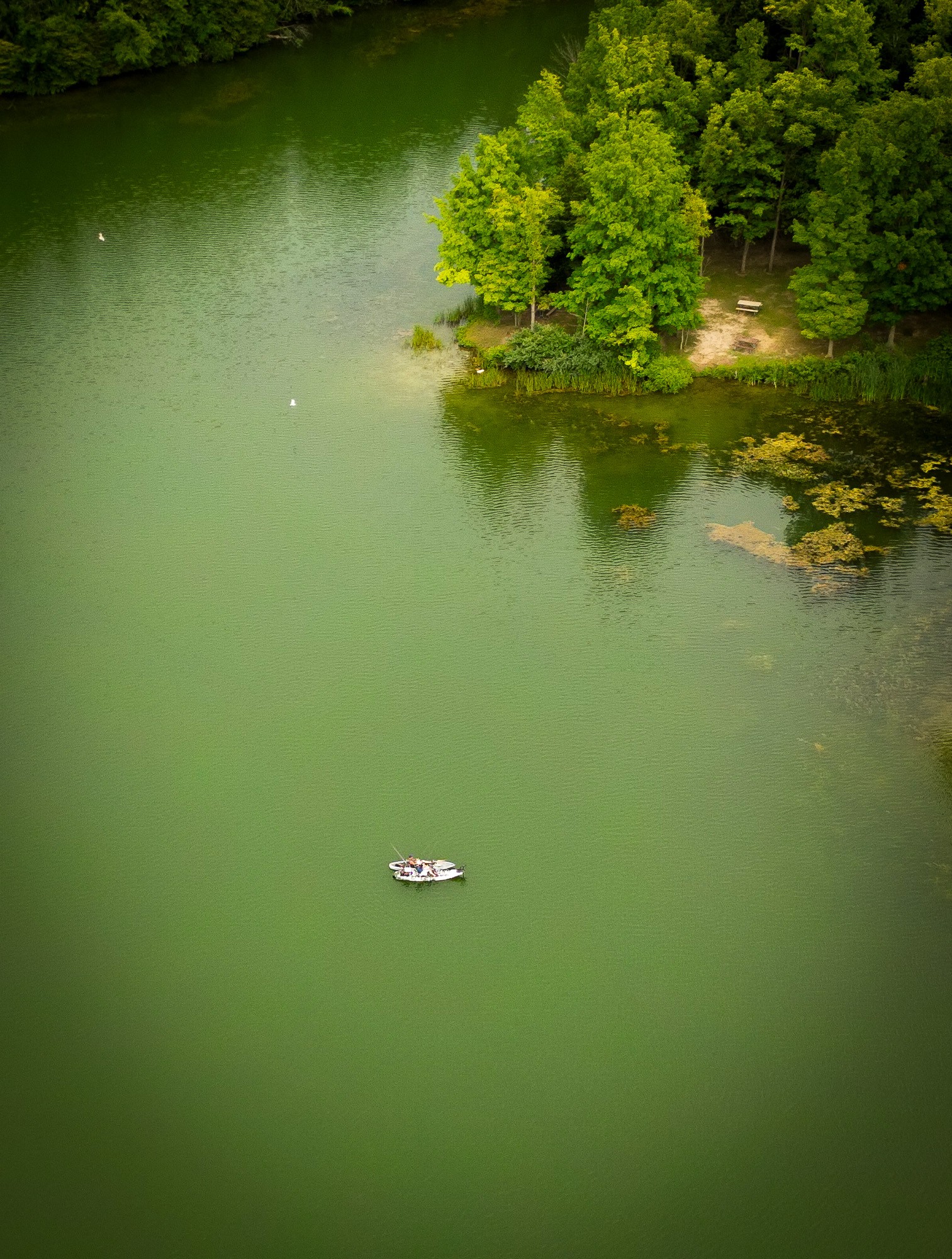 dji_fly_20250725_220106_313_1754085573562_photo