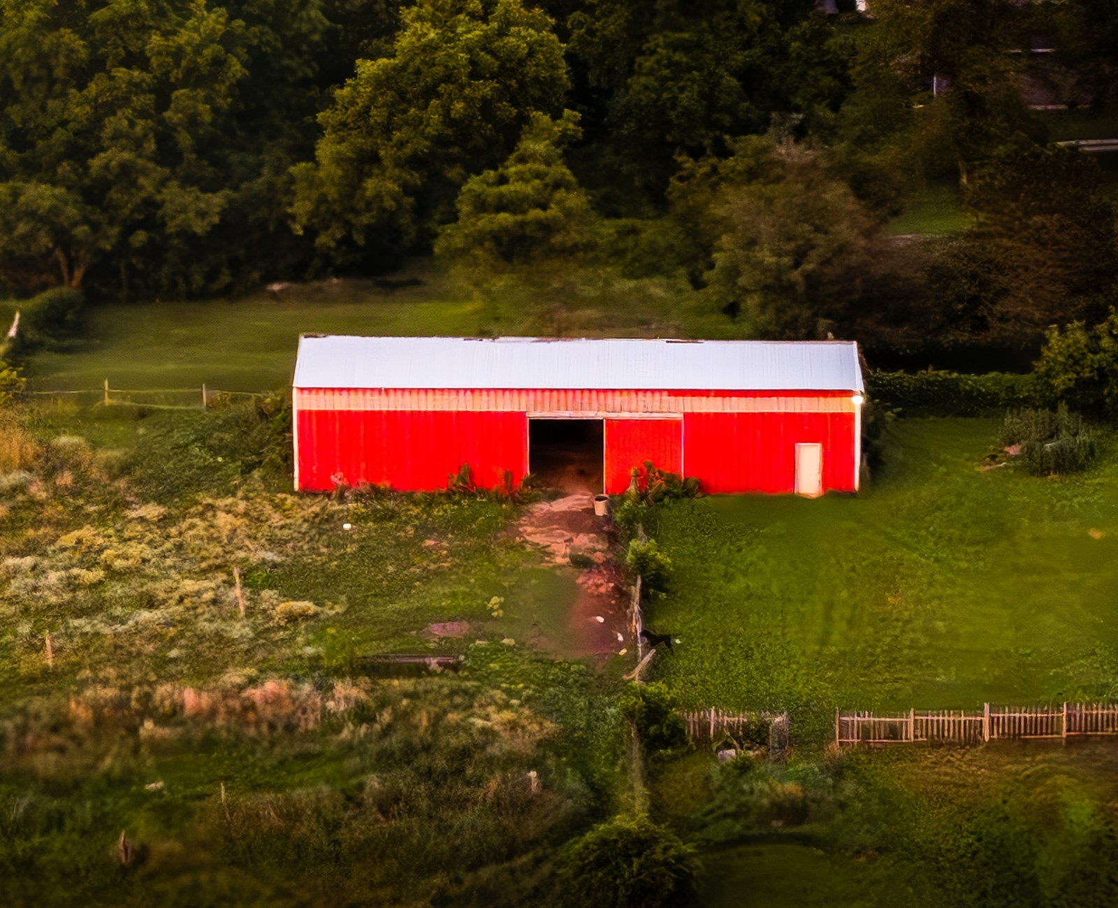 DJI_0220